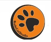 Rude Cat Studio nagrań